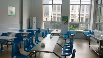 增強食品安全意識樹立餐飲行業典型，桐溪幼兒園入列A級餐飲服務單位