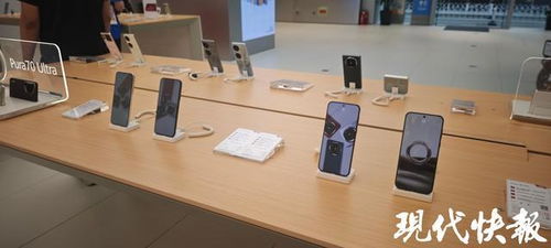 前5月南京經(jīng)濟(jì)穩(wěn)健增長(zhǎng)，‘以舊換新’政策顯效，汽車與家電零售額大幅攀升